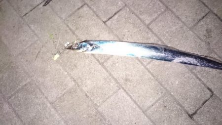 友人が初タチゲット！！