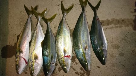 鳴門船ジギングで。