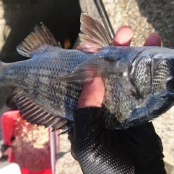 のんびりフカセ