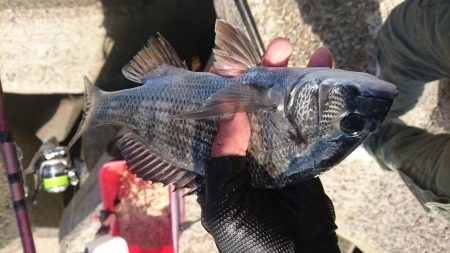 のんびりフカセ