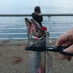 昼からファミリーフィッシング