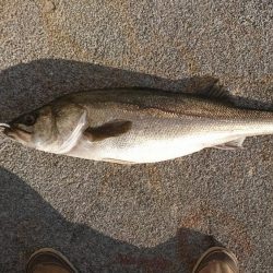 朝イチ渋く昼から爆釣