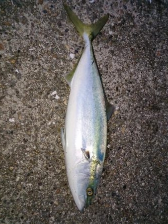 第2回播磨プチ遠征