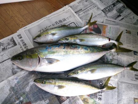 みなさまのお蔭です