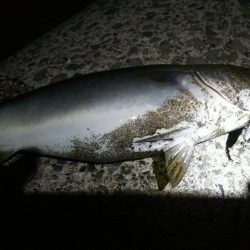 まだ、真っ暗ですが…