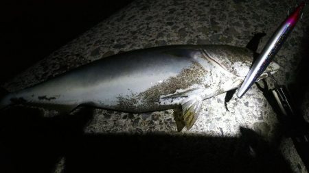 まだ、真っ暗ですが…