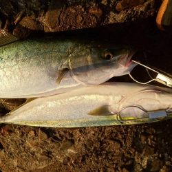 タモ入れの恐怖