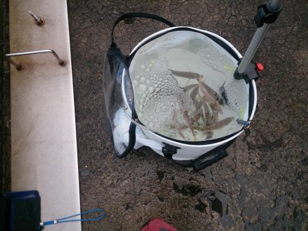 場所の選択は難しいね