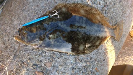 ボトムネチネチ♪