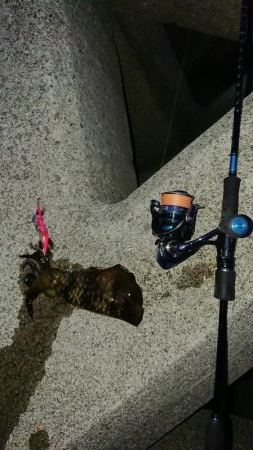 渋くなってきてるかな…