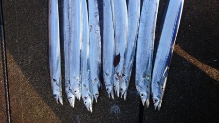 タチウオカッター！