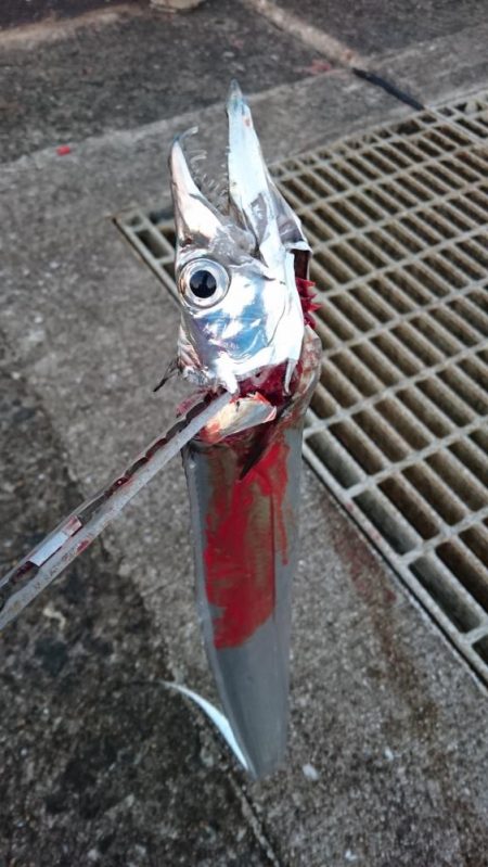 どんどん渋くなってます