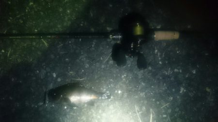 ライトワインド最初からやっておけば。。。