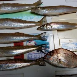 風が弱風になると思って行って来ましたが？