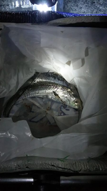 周りは激渋の模様