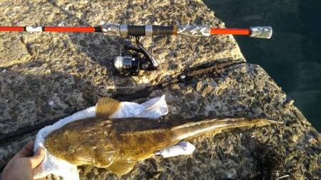 ファミリーフィッシング