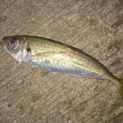 ショートバイト