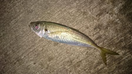 ショートバイト