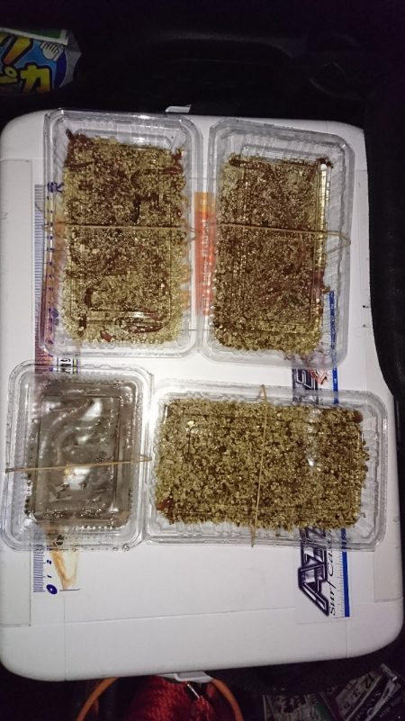 カレイ釣り、落ちギス釣り