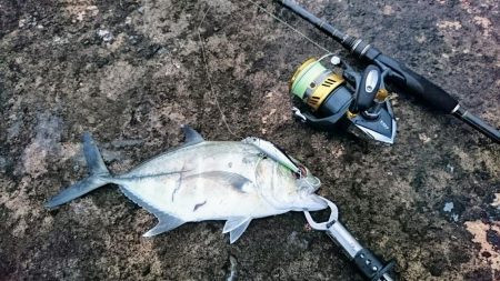 朝練、ターポンに嫌われガーラ狙い