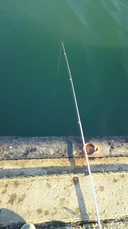 ファミリーフィッシング