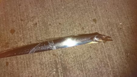 仕事帰りにちょろっと