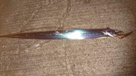 仕事帰りにさくさくっと