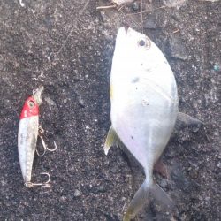 今さらだけど…