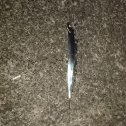 たまにアタリあるけど