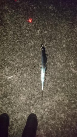 たまにアタリあるけど