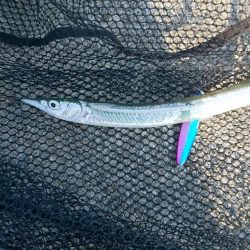 暴風スレ掛かり