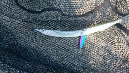 暴風スレ掛かり