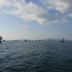 松山 オフショアタチウオ大爆釣!