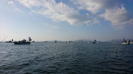 松山 オフショアタチウオ大爆釣!