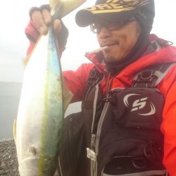 トップでハマチ