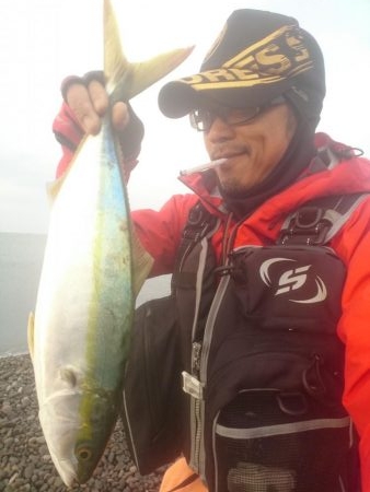 トップでハマチ