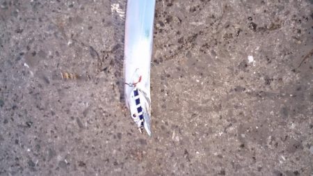 夕マズメ タチウオ