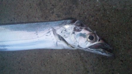 小雨でした！！