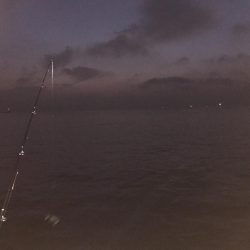 ラッキードラゴン