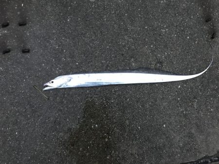 ショートバイトの中なんか