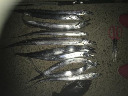 マナティーをサイズダウンしてから連続ヒット…