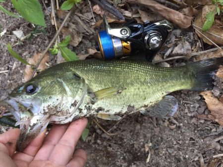 もう冬のパターン！？