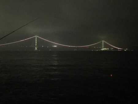 短時間での釣行です‼️