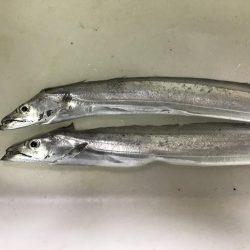 竿の改造試し釣り