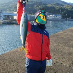 のませ釣りでハマチ狙い