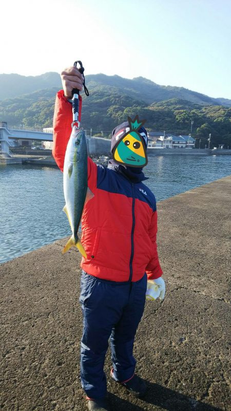 のませ釣りでハマチ狙い