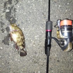 ダブルヘッダー