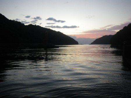 オオモンハタ遠征2