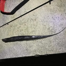 タチウオ釣りに行ってみた。