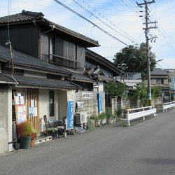 ハゼ釣り　淀川